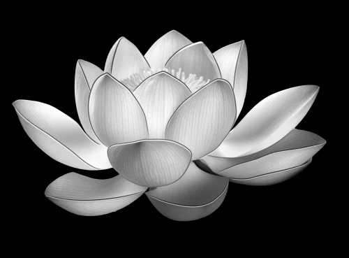 Цветок 080 (лотос)